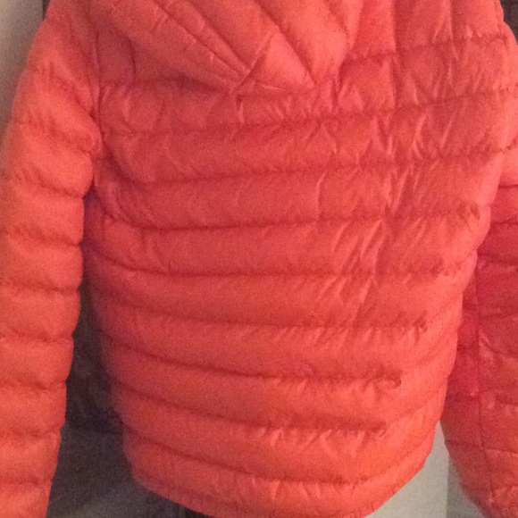 LACOSTE COAT - Picture 2 of 4